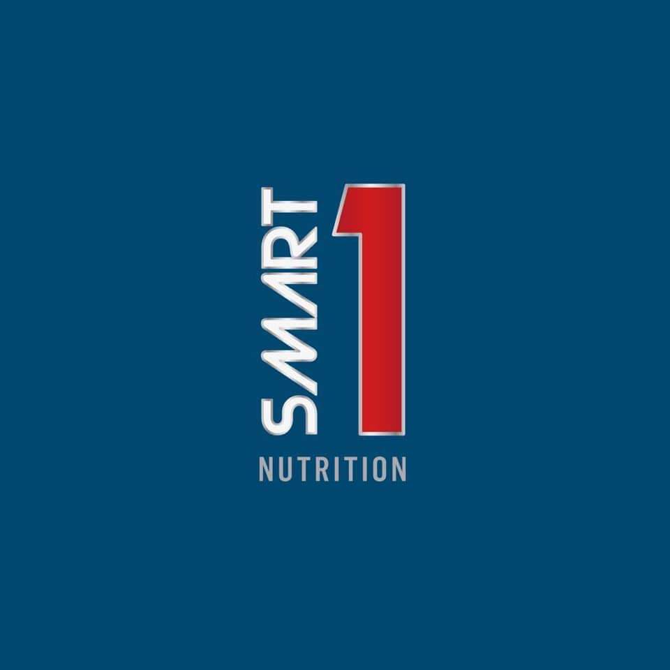  SMART 1 