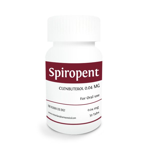 ROTTERDAM SPIROPENT